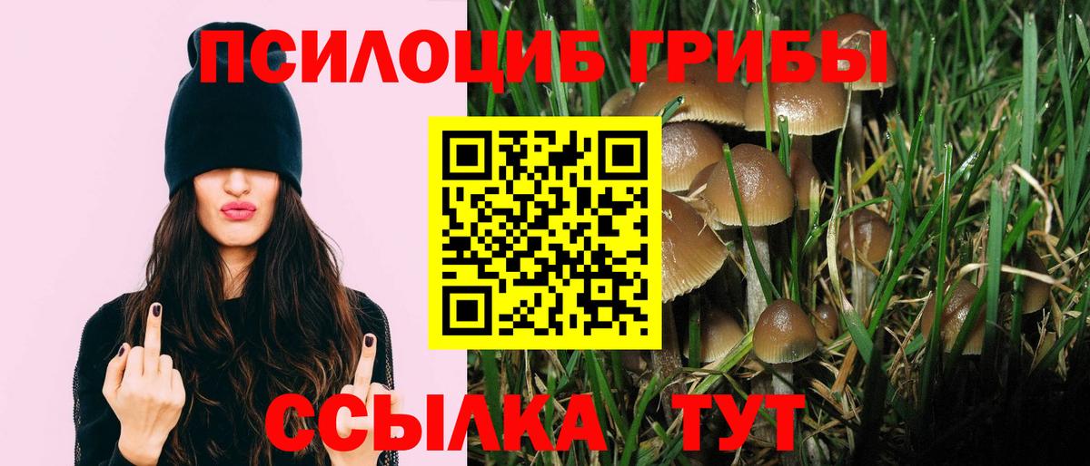 Псилоцибиновые грибы мицелий  Галлюциногенные грибы MAGIC MUSHROOMS  Вход с VPN  Сарапул 